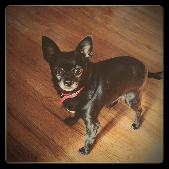 Meet your Posher, Danielle - Picture 3 of 3